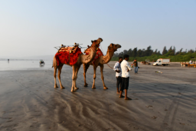 Others 2, Anchor Beach Resort, Raigarh