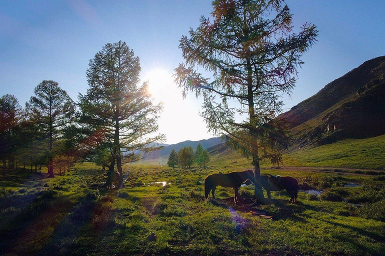 Others 5, Dream Adventure Mongolia, Ulan Bator