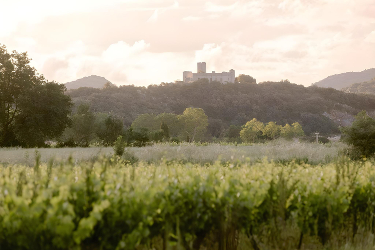 Others 2, Château La Bruguière, Gard