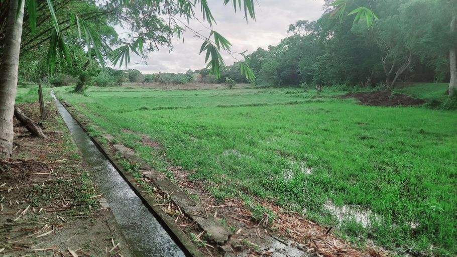 Others 2, Bamboo Garden, N. Palatha Central