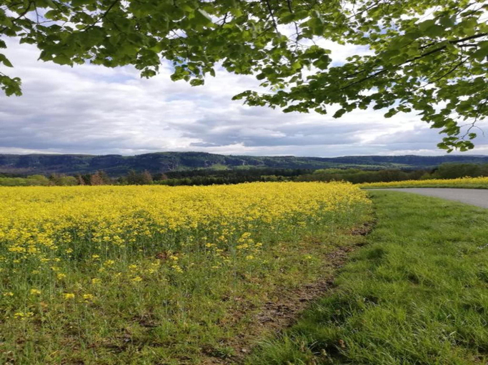 Others 4, Ferienhaus, Mittelndorf, Sächsische Schweiz-Osterzgebirge
