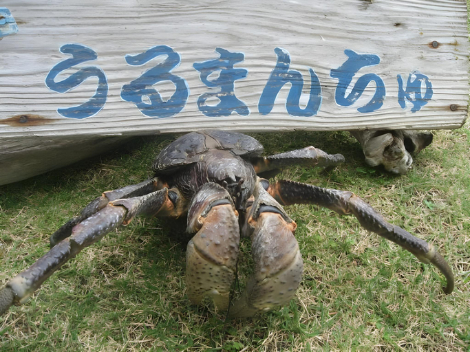 Others 5, Seaside Villa Urumanchu, Nakijin