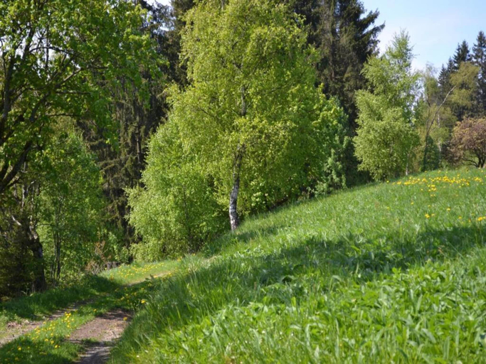 Others 3, Sonniges Dachgeschoss-Refugium, Wildemann, Goslar