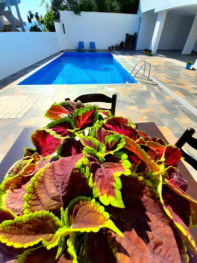 Sport & Beauty 5, Hotel Seadel, Sarandës