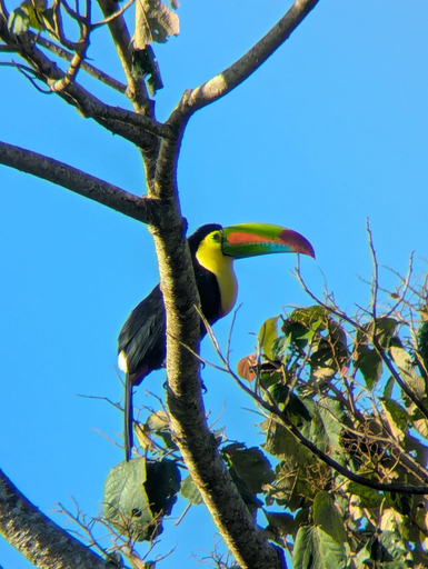 Others 3, Campos de Oro Wilderness Lodge, Abangares