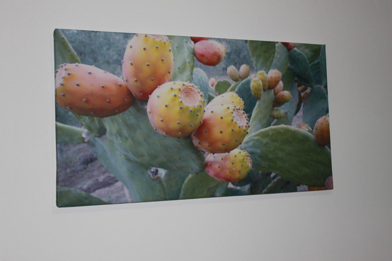 Food & Drinks, Baglio Gammicchia B&B, Trapani