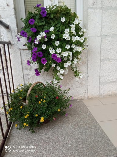 Others 4, Apartment Jure, Trogir