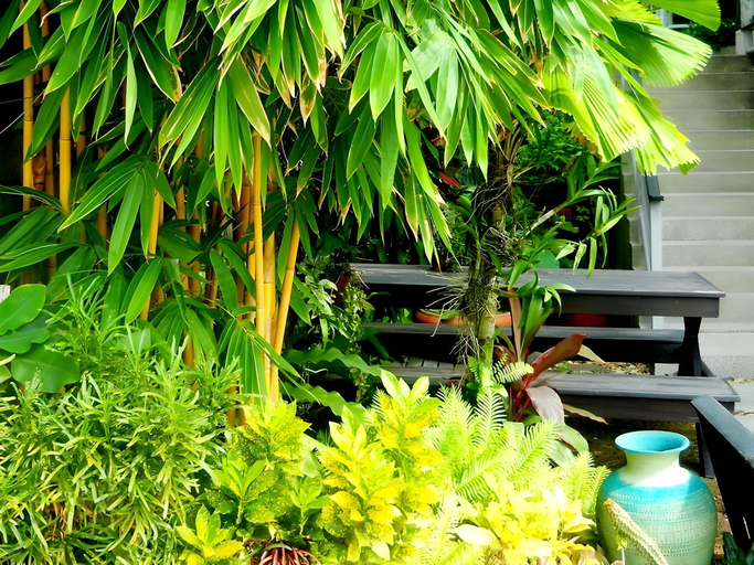Others 5, Karon View Serviced Apartments, Phuket Island