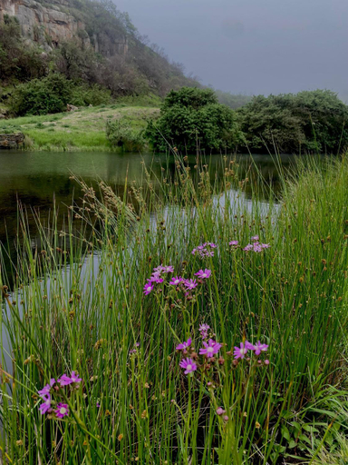 Others 4, Wetlands Game Lodge, Gert Sibande