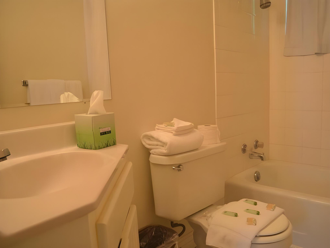 Bathroom 4, Basalt Mountain Inn, Eagle