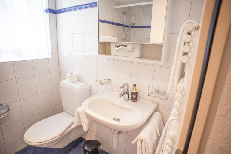 Bathroom 4, Eiger, Interlaken