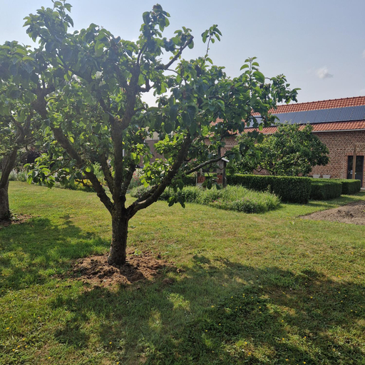 Others 5, Maison d hotes et table gourmande Au vert des lys, Nord