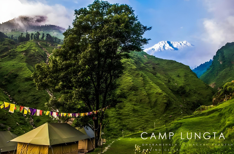 Others 5, CampLungta, Kangra
