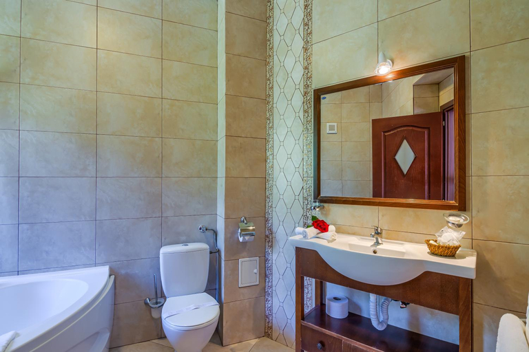 Bathroom 4, Pension Pantheon, Brasov