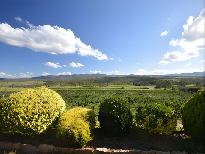 Others 3, Sancerre Estate , Stanthorpe