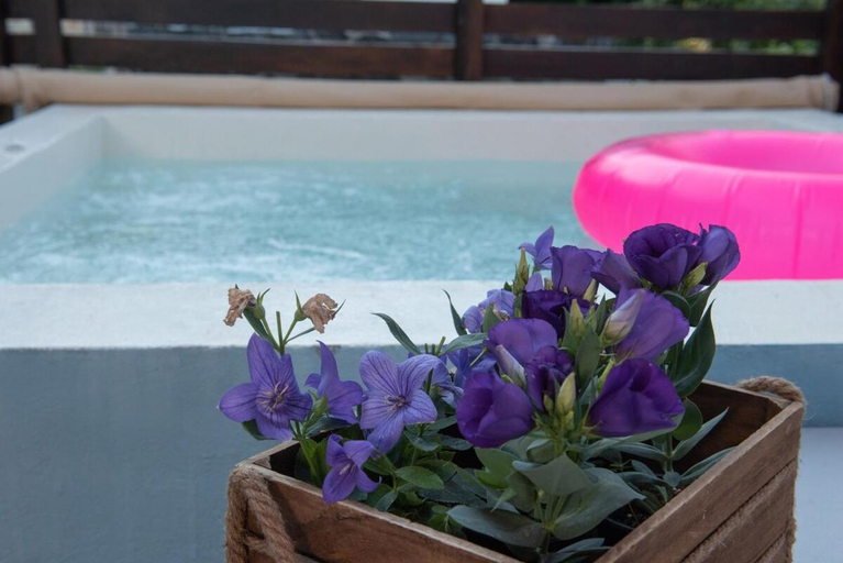 Sport & Beauty 2, Dandy Villas Tsagkarada Sky Blue Pansy | Jacuzzi, Thessaly