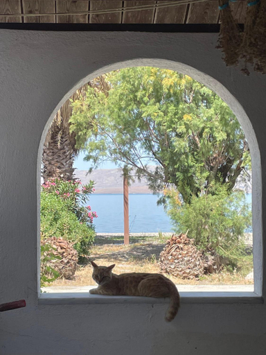 Others 4, Lefteris, North Aegean