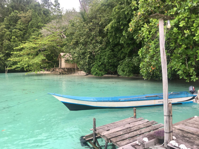 Others 4, Efenli Arnes homestay, Raja Ampat