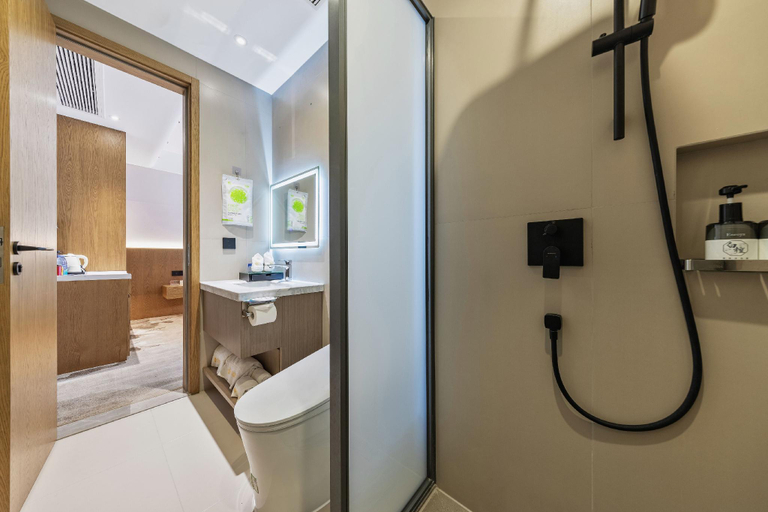 Bathroom 3, Phoenix Hotel, Zigong