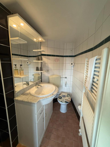 Bathroom 3, Schiffspension Luise, Potsdam