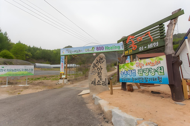 Others 3, Gangwon Taegisan morning birdsong, Hoengseong