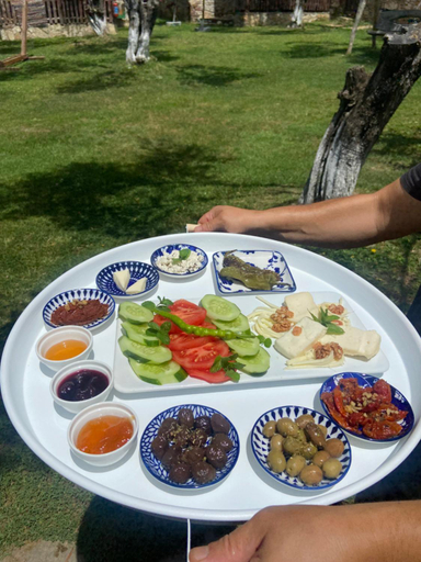 Food & Drinks 4, Pavel'in Yeri Motel, Edremit