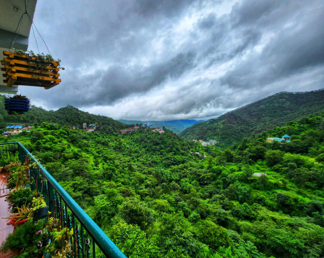 Others 4, Dharampur Cottage, Solan