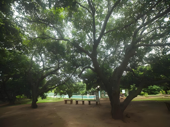 Others 5, The Kuttalam Herittage Resort, Tirunelveli