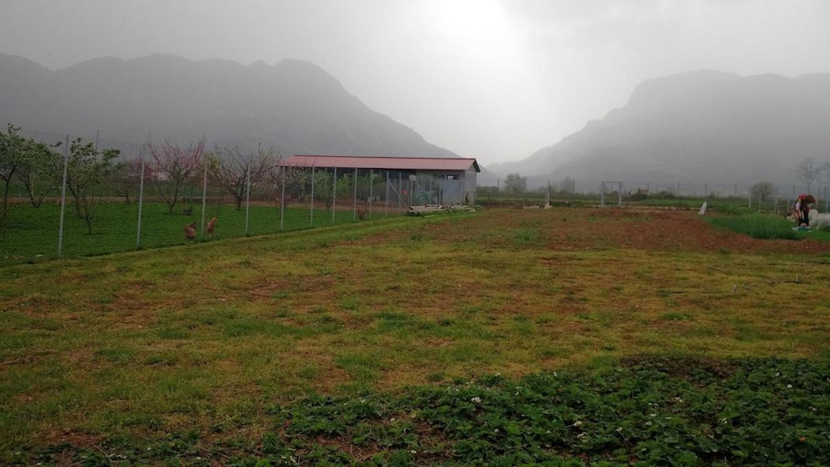 Others 2, Unique Farm in Paleomonastiro, Thessaly