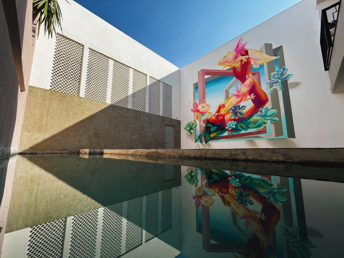 Sport & Beauty 4, Casa Oxa Hotel, Querétaro