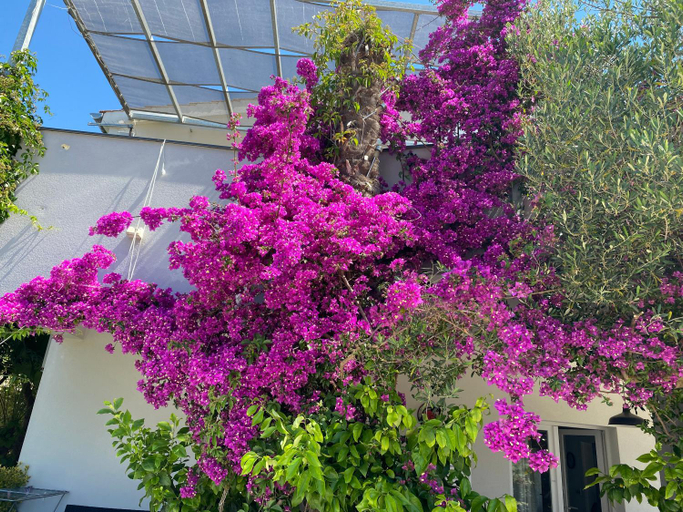 Exterior & Views 4, Apartments Hrga Srima, Vodice