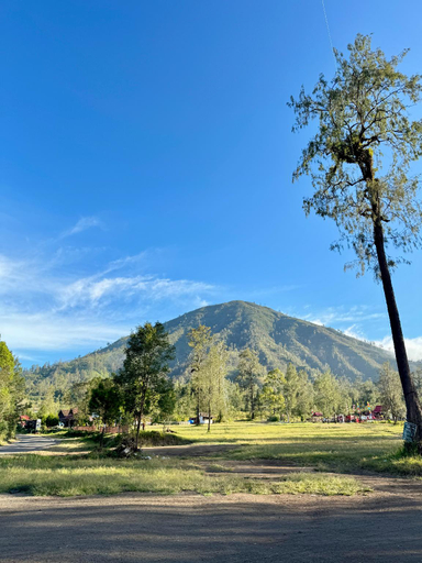 Others 5, Avrilla Ijen Homestay & Cafe, Banyuwangi