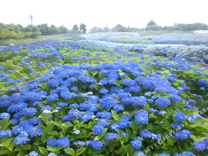Others 5, Kuwana Park Hotel, Kuwana