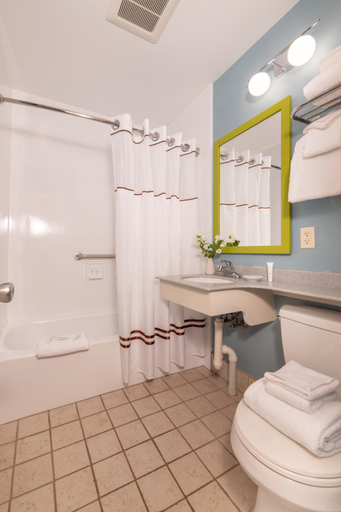 Bathroom 3, Bar Harbor Motel, Hancock