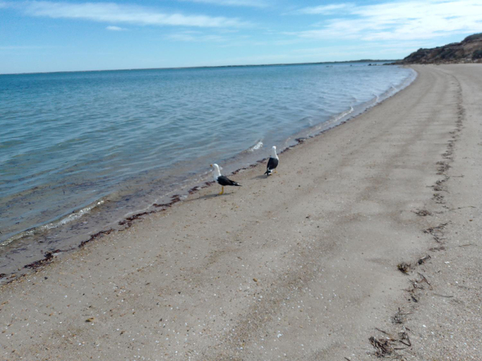 Others 4, Budget Ceduna, Ceduna