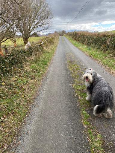 Others 2, Coastal Living Wild Atlantic Way - near Strandhill