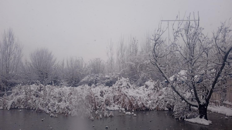 Others 4, Island hotel and homestay, Srinagar