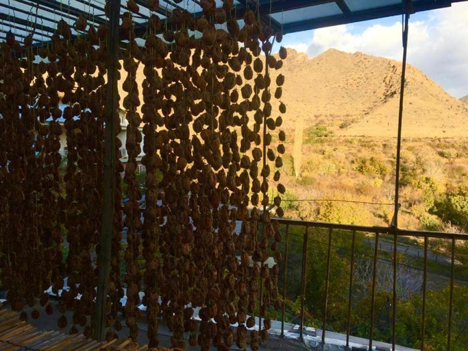 Others 5, Poqr Tagh