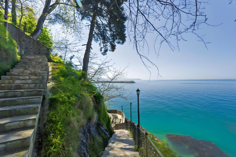 Food & Drinks 3, HANCIOGLU CAMBURNU Forest Houses, Of