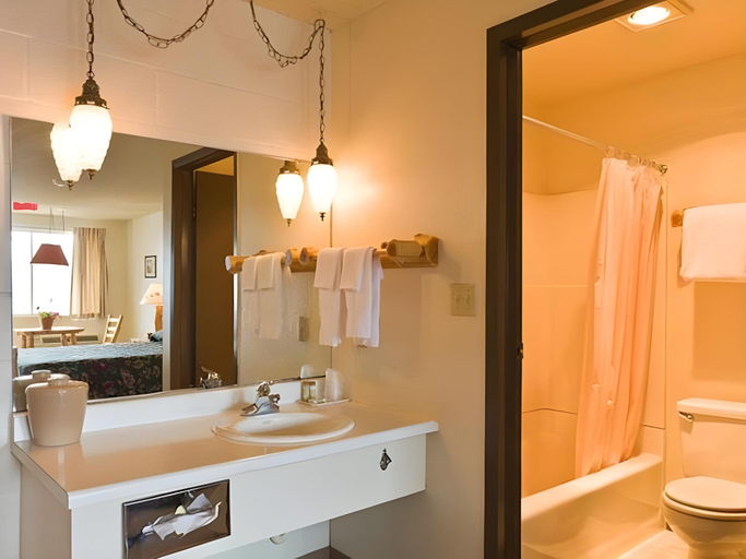 Bathroom 4, North Wood Motel, Whatcom