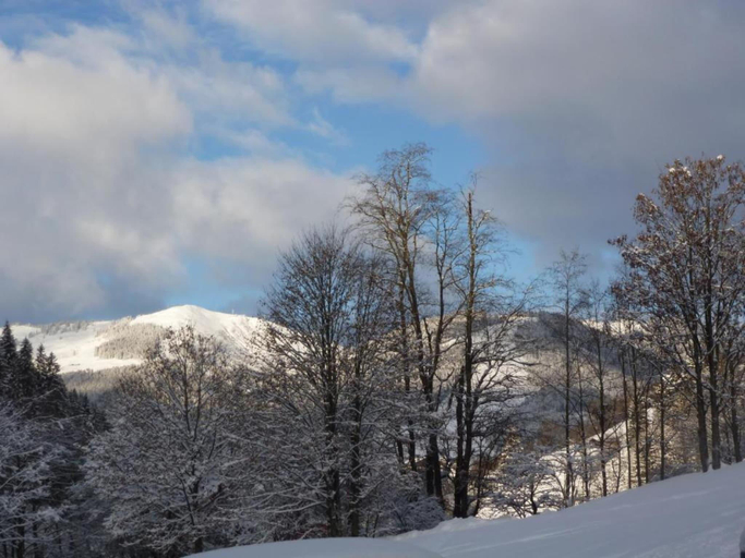 Others 5, Studio in Saalbach near Ski Slopes, Zell am See