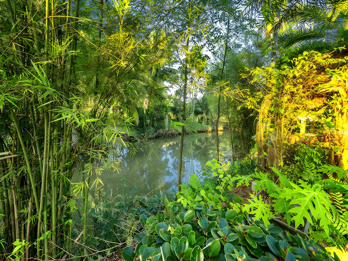 Others 4, Baan Suan Rim Num Resort, Muang Surat Thani