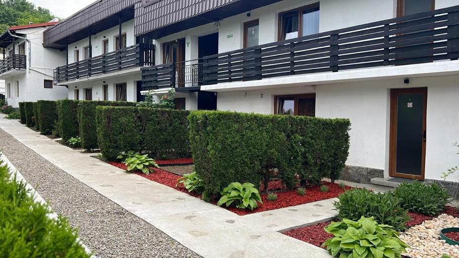 Exterior & Views, Pensiunea Bavaria Campina, Campina