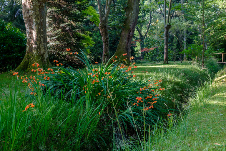 Others 5, Parc de L'Aiguade, Landes