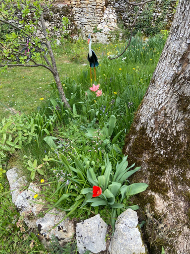 Others 3, Gites sur Le Causse de St CHELS, charme sport et detente, Lot