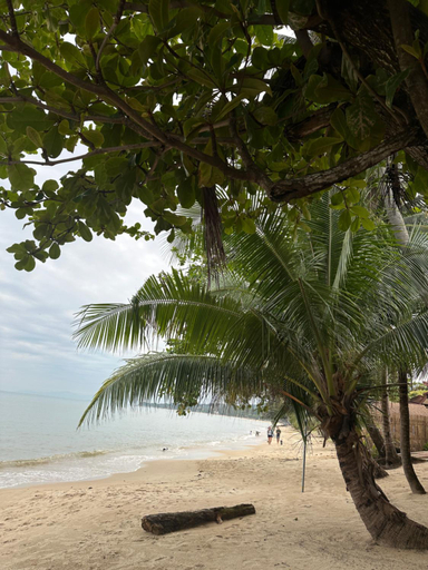 Others 3, Noah's Ark Beachfront, Ko Samui