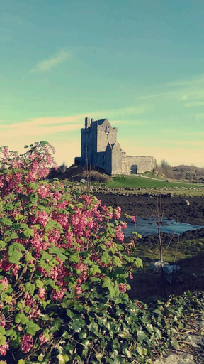 Surrounding environment 2, Studio Apartment sleeps up to 4 guests in Kinvara