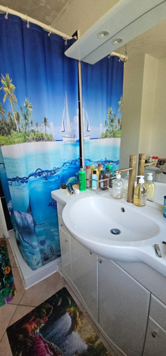 Bathroom, Charmante chambre chez l'habitant, Alpes-Maritimes