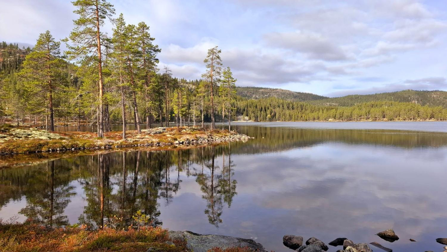 Others 5, Villa Ka Stor Elvdal, Stor-Elvdal