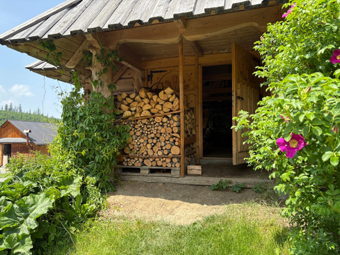 Exterior & Views, Pokoje Goscinne "U Elzbiety" 2 z basenem i jacuzzi, Tatra